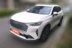 2021 Haval H6 2021 1.5T AT No.3generation2WDPro #1