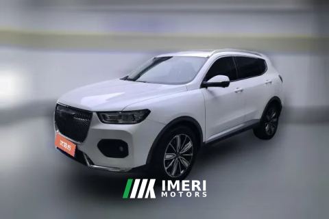 2020 Haval H6 2021 1.5T AT Champion