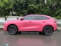 2021 Dongfeng Fengxing Fengxing T5 Evo 2021 1.5T AT DCTdiamondEdition #3