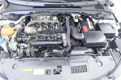 2022 Dongfeng Fengshen Yixuan 2020 1.5T AT 230TXuan YueEdition #10