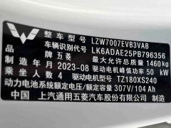 2023 Wuling Motors Wuling Bingo 2023 333KM Joy #14