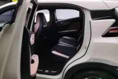 2024 BYD Seagull 2025 305km freeEdition #11