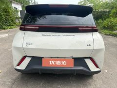2023 BYD Seagull 2023 flyEdition #8