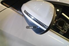 Left Exterior Mirror