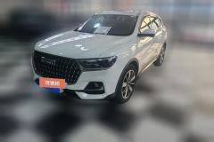 2024 Haval H6 2023 China tideEdition 1.5T AT Champion #1