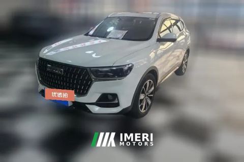 2024 Haval H6 2023 China tideEdition 1.5T AT Champion