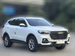 2022 Haval H6 2021 1.5T AT China tideChampionGDI #3