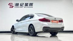 2020 BMW 5 Series 2020 2.0T AT 530LiLeadingMSport Pkg #9
