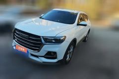 2023 Haval H6 2021 1.5T AT China tideChampion #1