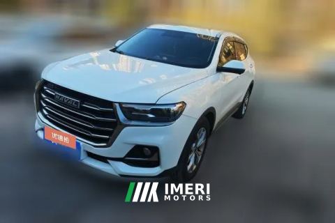 2023 Haval H6 2021 1.5T AT China tideChampion
