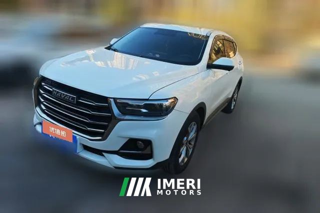 2023 Haval H6 2021 1.5T AT China tideChampion