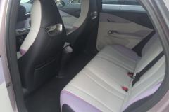 2021 BYD Dolphin 2021 401km knightEdition #11