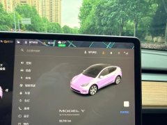 2021 Tesla Model Y 2021StandardBattery lifeRWDEdition #18