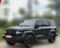 2021 Tank 300 2021 Off-road 2.0TAT conqueror #1