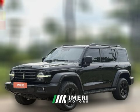 2021 Tank 300 2021 Off-road 2.0TAT conqueror