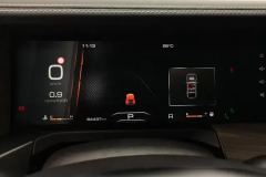 2022 Tank 300 2021 CityEdition 2.0T AT must #14