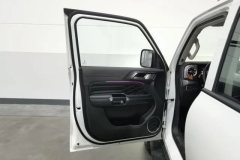 2021 Tank 300 2021 Off-road 2.0TAT conqueror #11