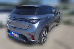 2023 BYD Dolphin 2023 420km Fashion #3