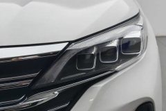 2021 GAC Trumpchi Trumpchi GS5 2021 Advanced 270T TechSmart Lead #5