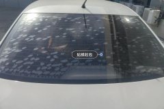 Rear Windshield