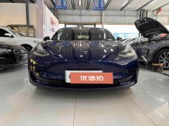 2020 Tesla Model 3 2020 Facelift StandardBattery lifeRWDUpgradeEdition EV #1