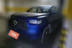 2022 Great Wall Great Wall Pao 2021 2.0T MT CommercialEditionGasoline4WDElitestandard boxGW4C20B #1
