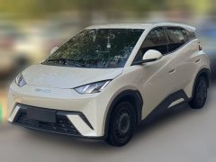2024 BYD Seagull 2024 Glory 305KM freeEdition #3