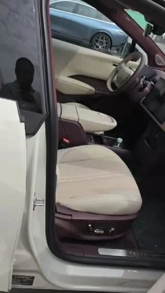2025 Zeekr X 2025 5Seat RWDEdition #4