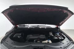 2020 Great Wall Great Wall Pao 2020 2.0TOff-roadATGasoline4WDAdvancedEditionGW4C20B #7