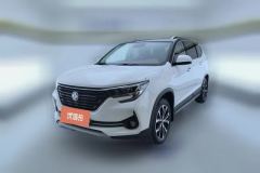 2019 Dongfeng Fengxing Fengxing T5 2020 1.5T AT Premium China VI #1