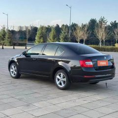 2015 Škoda Octavia 2015 1.6 AT YijieEdition #9
