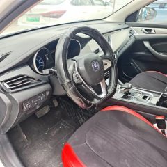 2019 Chang'an Eado EV 2019 EV460Smart EV #5
