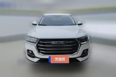 2023 Haval H6 2021 1.5T AT China tideUrbanEdition #2
