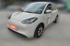 2025 Wuling Motors Wuling Bingo 2024 333km Joy #1