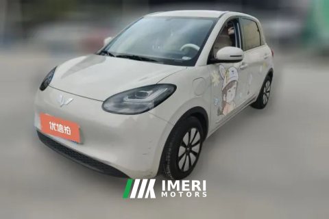 2025 Wuling Motors Wuling Bingo 2024 333km Joy