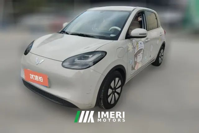 2025 Wuling Motors Wuling Bingo 2024 333km Joy