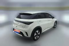 2025 BYD Dolphin 2025 Smart Drive 420km freeEdition #3