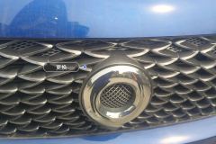 Intake Grille