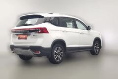 2023 Dongfeng Fengxing Fengxing T5 2021 1.5T AT Comfort #2