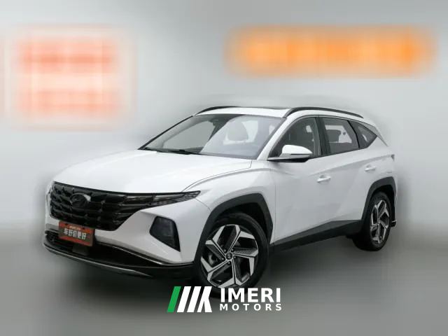2024 Hyundai Tucson 2023 TucsonL 1.5T AT 2WDDLXLuxury
