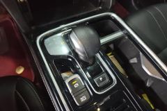 2021 GAC Trumpchi Trumpchi GS8 2020 2.0T AT 390TLuxurySmart ConnectAnniversary（7Seat）FWD #16
