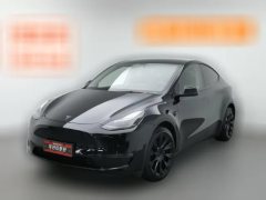 2021 Tesla Model Y 2021StandardBattery lifeRWDEdition #1