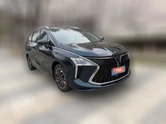 2022 Dongfeng Fengxing Fengxing Youting 2022 5T AT DCTHold the moonEdition #3