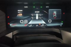 2021 Tank 300 2021 Off-road 2.0TAT conqueror #14