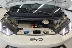 2025 BYD Seagull 2025 305km freeEdition #10