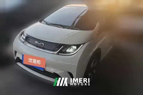 2024 BYD Dolphin 2024 Glory 420km Fashion
