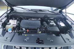 2025 Haval Big Dog Plus 2023 2.0T AT 4WDShionoPlus #10