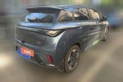 2024 BYD Dolphin 2025 420km Fashion #3