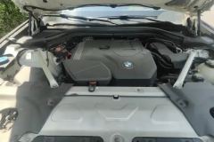 2021 BMW X3 2021 2.0T AT xDrive28i Luxury Pkg4WD #10