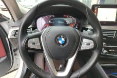 2021 BMW 5 Series 2021 2.0T AT 530LiLeadingLuxury Pkg #15